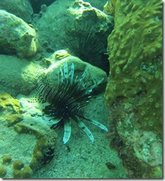 GOPR0191
