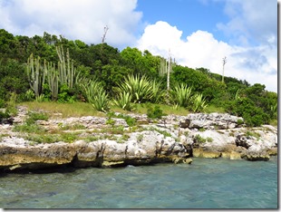 Great Bird Island (15)