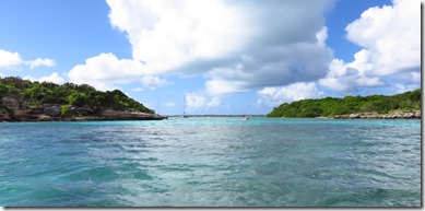 Great Bird Island (16)