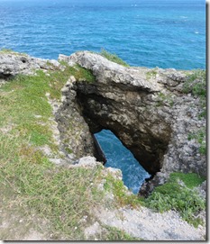 Great Bird Island (26)