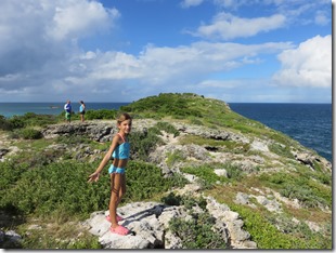 Great Bird Island (36)