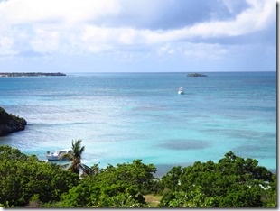 Great Bird Island (43)