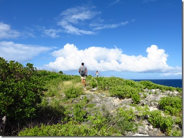 Great Bird Island (45)