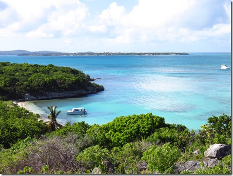 Great Bird Island (47)