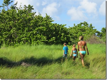 Great Bird Island (50)
