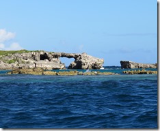 Great Bird Island (59)