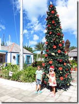 Jolly Harbour (12)