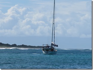 Petite Terre (1)