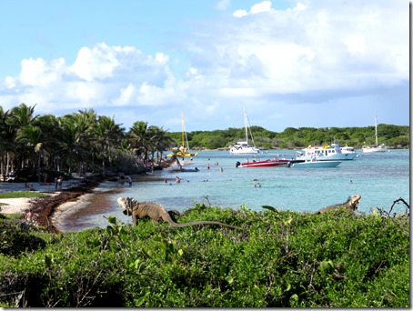 Petite Terre (30)