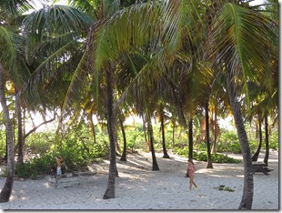 Petite Terre (38)