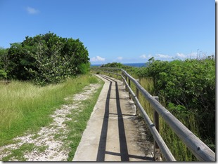Pointe Grande Vigie (4)
