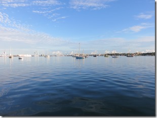 Pointe a Pitre (28)