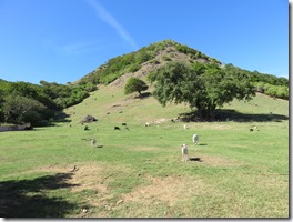 Pompierre (9)