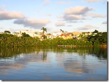 St-Johns (6)