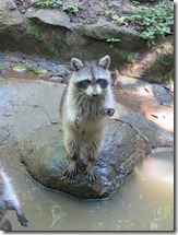 Zoo Parc des Mamelles (5)