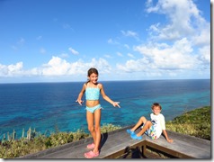 Buck Island (17)