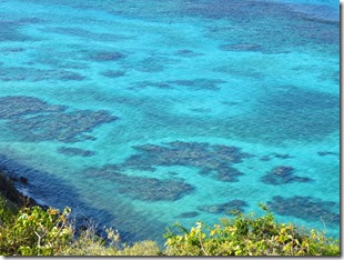 Buck Island (29)