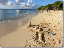 Buck Island (37)