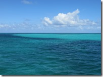Buck Island (5)