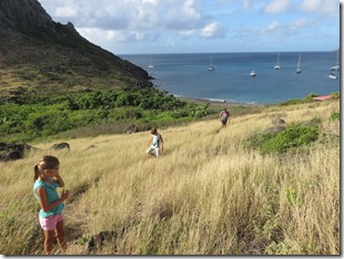 Ile Fourchue (13)