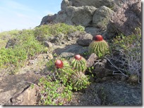 Ile Fourchue (24)