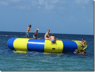 Nevis (220)