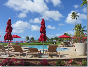 Nevis (226)