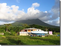Nevis (239)