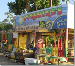 Nevis (23)