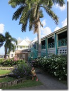 Nevis (54)