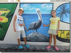 Nevis (66)