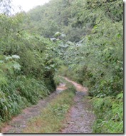 St-Croix (127)