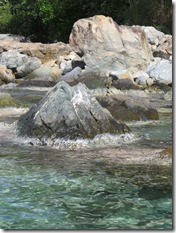 US Lameshure Bay (20)