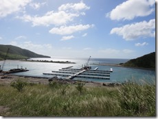 White House Bay (38)