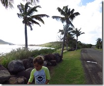 White House Bay (45)