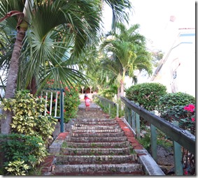 Charlotte Amalie (6)