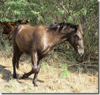 Culebra (42)