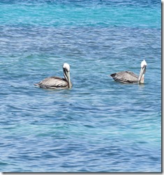Flamenco Beach Culebra (30)