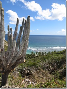 Peter Island (26)