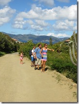 Peter Island (6)