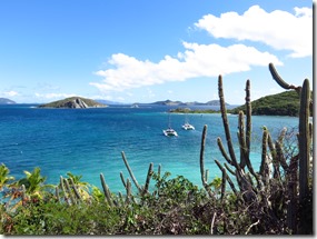Peter Island (8)