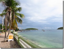 Vieques Esperanza (5)