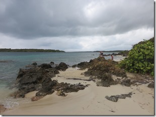 Vieques Las Chivas (11)