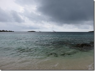 Vieques Las Chivas (12)