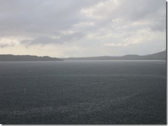 Vieques Las Chivas (13)