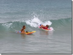 Vieques Las Chivas (18)