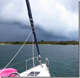 Vieques Las Chivas (19)