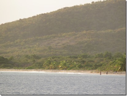 Vieques Las Chivas (8)