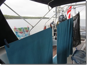 Vieques Sun Bay (38)