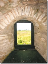 Cat I. Hermitage (23)